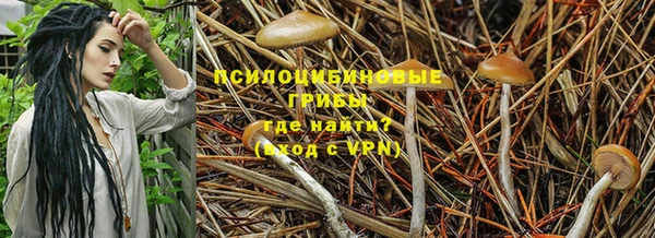 круглые Алексин