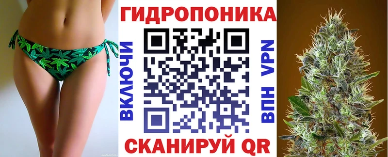 Бошки Шишки конопля  Петрозаводск 